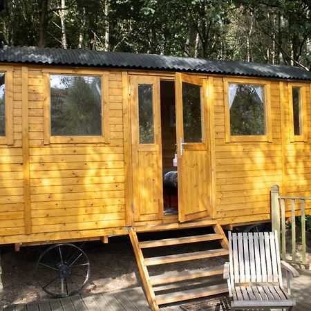 Pike'S Cabin In The Woods Hebden Bridge Exterior foto